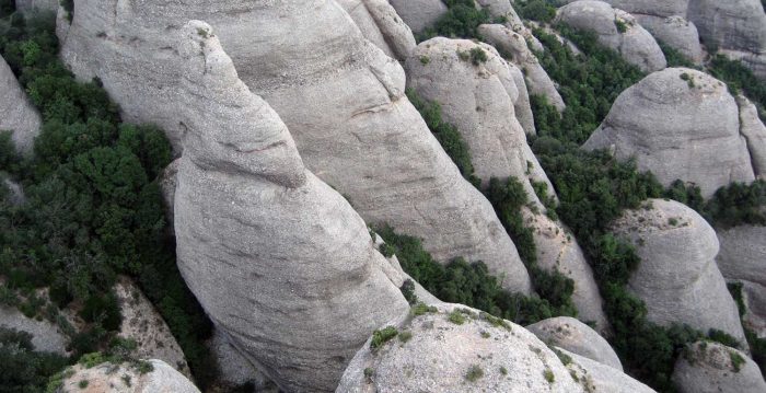 Cim de la Filigrana